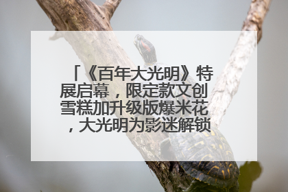 《百年大光明》特展启幕，限定款文创雪糕加升级版爆米花，大光明为影迷解锁狂欢新场景