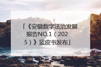 《安徽数字法治发展报告NO.1（2025）》蓝皮书发布