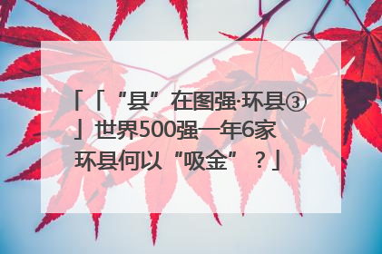 「“县”在图强·环县③」世界500强一年6家 环县何以“吸金”？