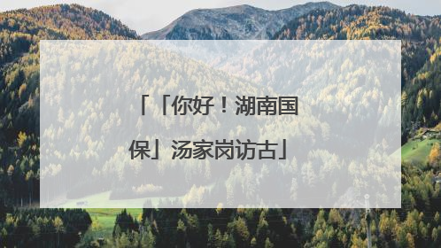 「你好！湖南国保」汤家岗访古