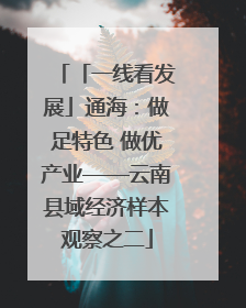 「一线看发展」通海：做足特色 做优产业——云南县域经济样本观察之二