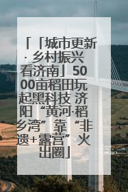 「城市更新· 乡村振兴看济南」5000亩稻田玩起黑科技 济阳“黄河·稻乡湾”靠“非遗+露营”火出圈