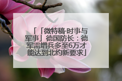 「微特稿·时事与军事」德国防长：德军需增兵多至6万才能达到北约新要求