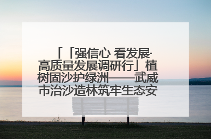 「强信心 看发展·高质量发展调研行」植树固沙护绿洲——武威市治沙造林筑牢生态安全屏障见闻