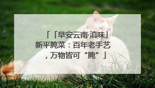 「早安云南·滇味」新平腌菜：百年老手艺，万物皆可“腌”