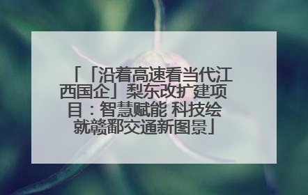 「沿着高速看当代江西国企」梨东改扩建项目：智慧赋能 科技绘就赣鄱交通新图景