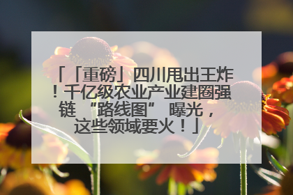 「重磅」四川甩出王炸！千亿级农业产业建圈强链 “路线图” 曝光，这些领域要火！