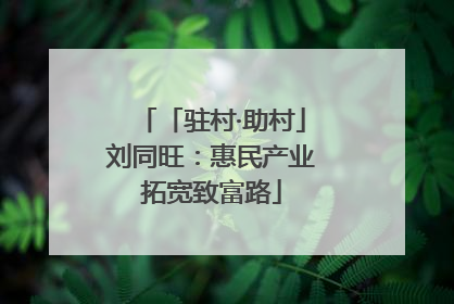 「驻村·助村」刘同旺：惠民产业拓宽致富路