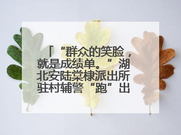 “群众的笑脸，就是成绩单。”湖北安陆棠棣派出所驻村辅警“跑”出幸福加速度