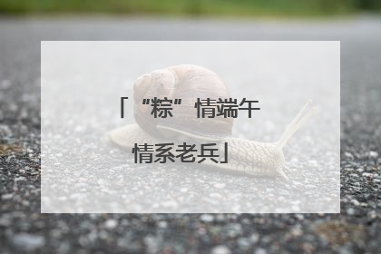 “粽”情端午 情系老兵