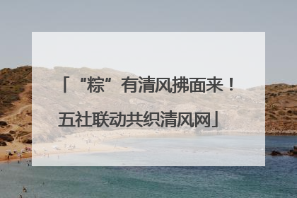 “粽”有清风拂面来！五社联动共织清风网
