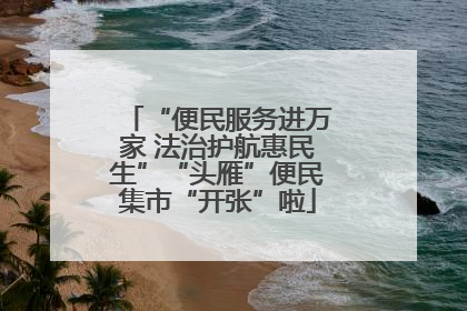 “便民服务进万家 法治护航惠民生”“头雁”便民集市“开张”啦