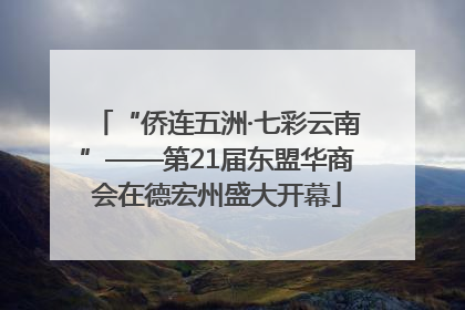 “侨连五洲·七彩云南”——第21届东盟华商会在德宏州盛大开幕