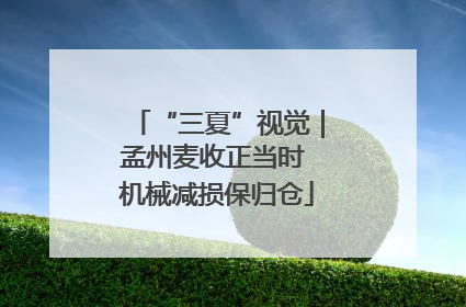 “三夏”视觉｜孟州麦收正当时 机械减损保归仓