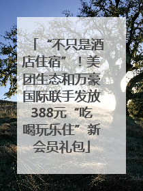 “不只是酒店住宿”！美团生态和万豪国际联手发放388元“吃喝玩乐住”新会员礼包