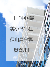 “中国最美小鸟”在保山昌宁筑巢育儿