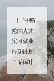 “中斯跨国人才实习就业行动计划”启动