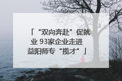 “双向奔赴”促就业 93家企业走进益阳师专“揽才”