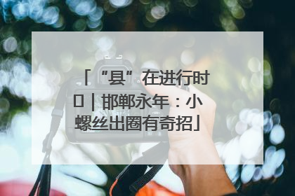 “县”在进行时⑬｜邯郸永年：小螺丝出圈有奇招