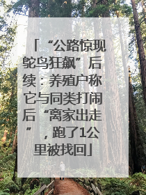 “公路惊现鸵鸟狂飙”后续：养殖户称它与同类打闹后“离家出走”，跑了1公里被找回