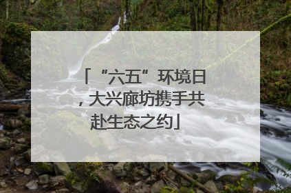 “六五”环境日，大兴廊坊携手共赴生态之约