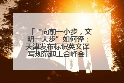“向前一小步，文明一大步”如何译：天津发布标识英文译写规范迎上合峰会
