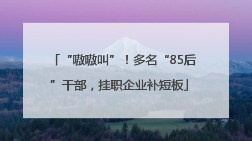 “嗷嗷叫”！多名“85后”干部，挂职企业补短板