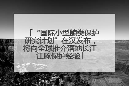 “国际小型鲸类保护研究计划”在汉发布，将向全球推介落地长江江豚保护经验
