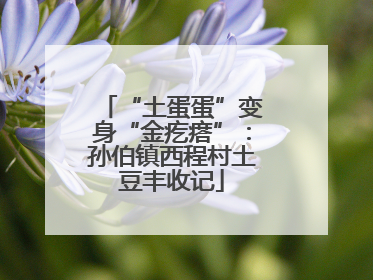 “土蛋蛋”变身“金疙瘩”：孙伯镇西程村土豆丰收记