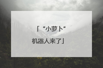 “小萝卜”机器人来了