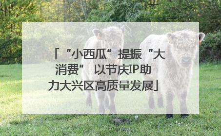 “小西瓜”提振“大消费” 以节庆IP助力大兴区高质量发展