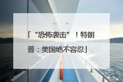 “恐怖袭击”！特朗普：美国绝不容忍