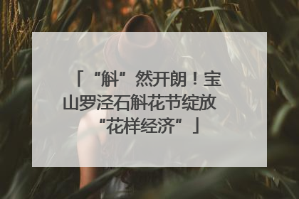 “斛”然开朗！宝山罗泾石斛花节绽放“花样经济”
