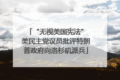 “无视美国宪法” 美民主党议员批评特朗普政府向洛杉矶派兵