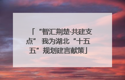 “智汇荆楚·共建支点” 我为湖北“十五五”规划建言献策