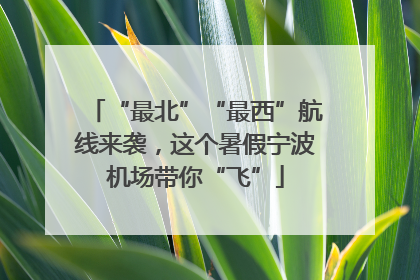 “最北”“最西”航线来袭，这个暑假宁波机场带你“飞”