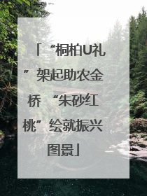 “桐柏U礼”架起助农金桥 “朱砂红桃”绘就振兴图景
