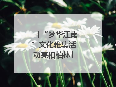 “梦华江南”文化雅集活动亮相柏林