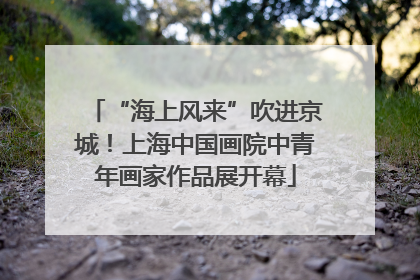 “海上风来”吹进京城！上海中国画院中青年画家作品展开幕