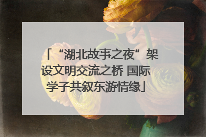 “湖北故事之夜”架设文明交流之桥 国际学子共叙东游情缘
