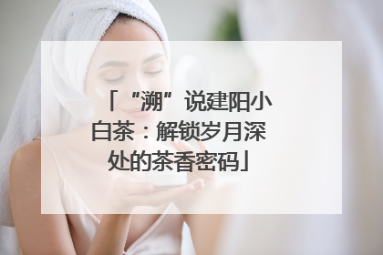 “溯”说建阳小白茶：解锁岁月深处的茶香密码