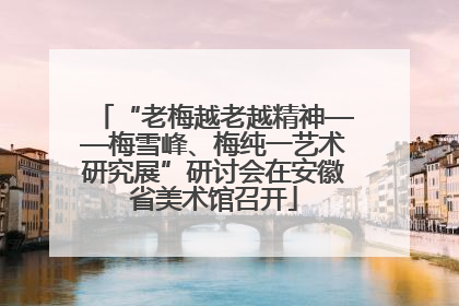 “老梅越老越精神——梅雪峰、梅纯一艺术研究展”研讨会在安徽省美术馆召开