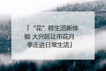 “花”样生活新体验 大兴区让市花月季走进日常生活