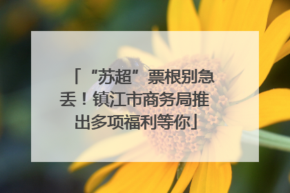 “苏超”票根别急丢！镇江市商务局推出多项福利等你