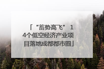 “蓄势高飞” 14个低空经济产业项目落地成都都市圈