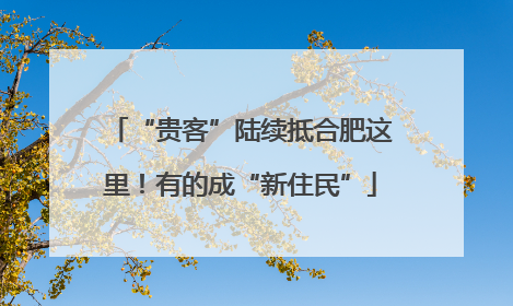 “贵客”陆续抵合肥这里！有的成“新住民”