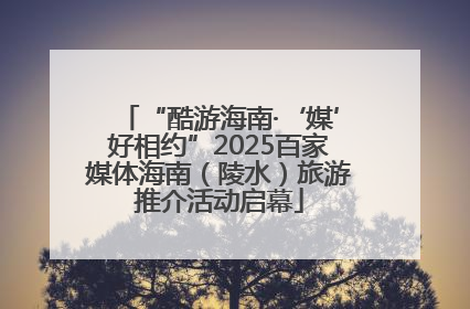 “酷游海南·‘媒’好相约”2025百家媒体海南（陵水）旅游推介活动启幕