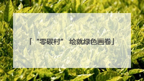“零碳村” 绘就绿色画卷