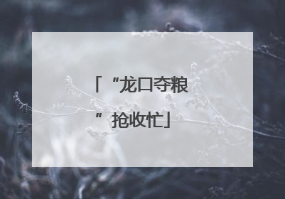 “龙口夺粮”抢收忙