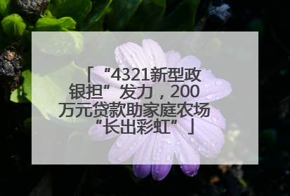“4321新型政银担”发力，200万元贷款助家庭农场“长出彩虹”